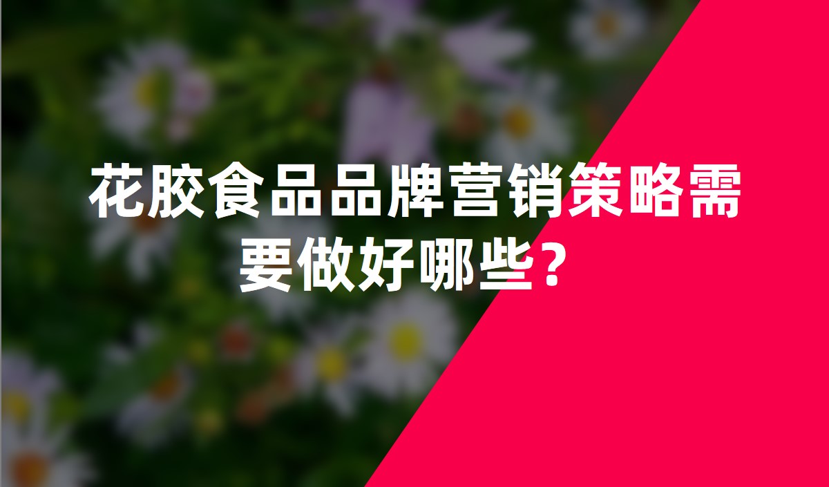 花膠食品品牌營(yíng)銷(xiāo)策略需要做好哪些？