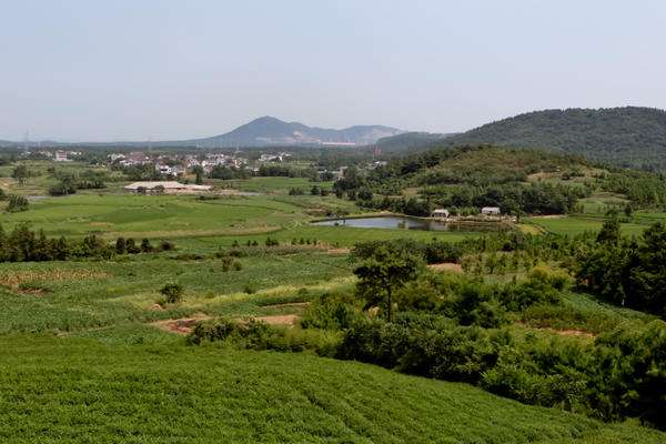 農(nóng)業(yè)品牌營(yíng)銷(xiāo)