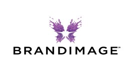 BRANDIMAGE 品牌資產(chǎn)設(shè)計公司