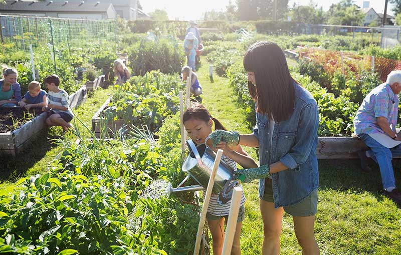 都市品牌農(nóng)業(yè)越來(lái)越受消費(fèi)者青睞_品牌農(nóng)業(yè)
