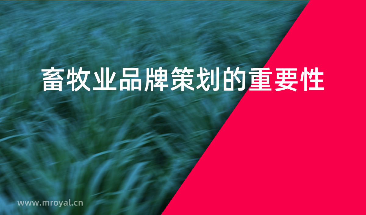 畜牧業(yè)品牌策劃的重要性，畜牧業(yè)品牌化是提高市場占有率重要手段